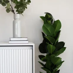 Garnero Arredamenti Madie Moderne|Madie Moderne-Madia 193x83h cm 4 ante con led cannettato nero Camelia Bianco Opaco