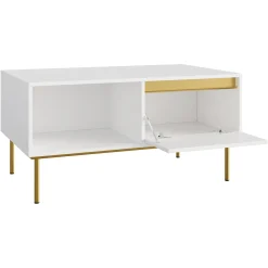 Garnero Arredamenti Tavolini Moderni|Tavolini Moderni-Tavolino da salotto 100x50cm 1 anta bianco oro Praga Bianco Opaco - Oro
